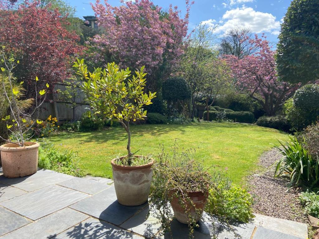 דירות בריסטול Clifton Garden Flat With Parking מראה חיצוני תמונה