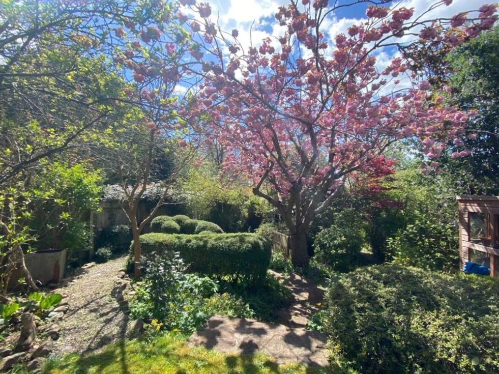 דירות בריסטול Clifton Garden Flat With Parking מראה חיצוני תמונה
